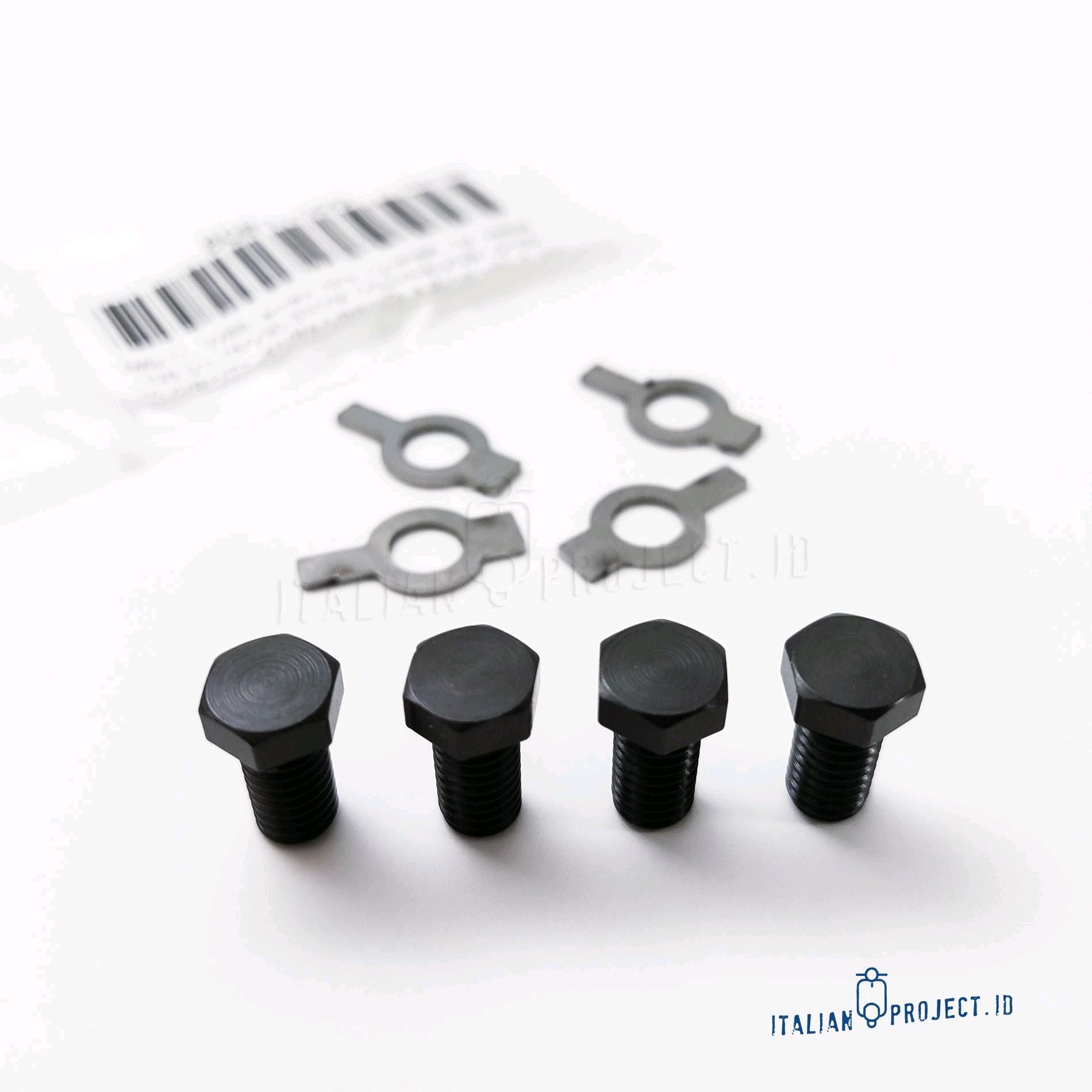 Baut Ring set Magnet