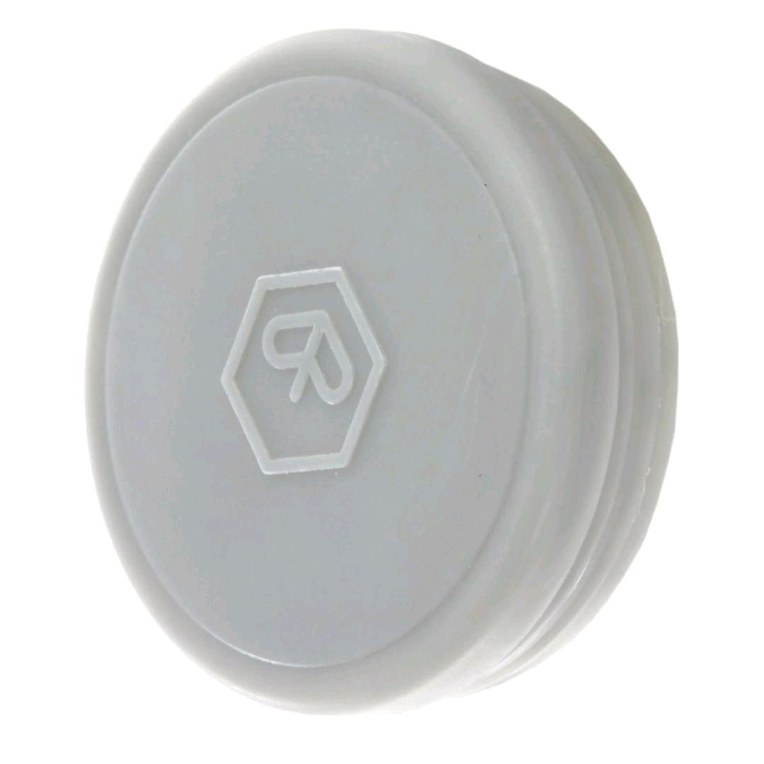 Speedo Cap